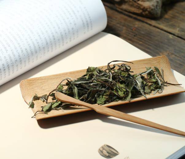 2,老白茶可长期存储"的官方依据,让茶友更加坚定藏茶之路这使得白茶