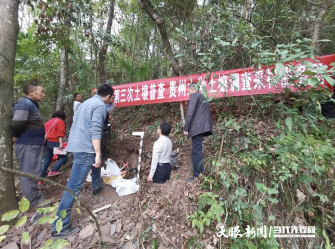 綏陽縣第三次全國土壤普查試點成果獲評