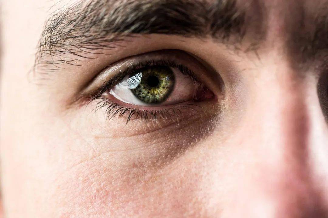 养肝_肝脏_脂肪