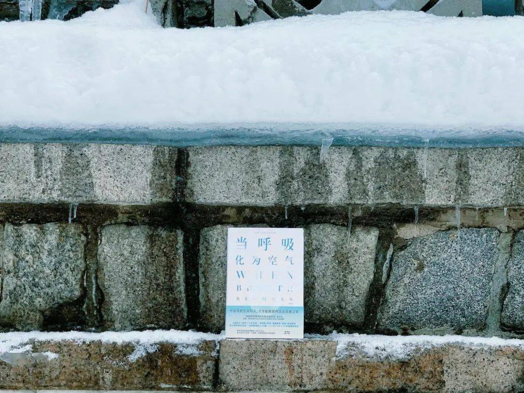 你曾经让一个将死之人的余生充满了欢乐|三明治阅读俱乐部_保罗·卡拉