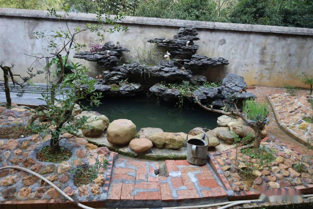 珠玑镇长迳村黄金凤庭院院子里树木浓绿花草争艳秋千,假山,鱼池及休闲