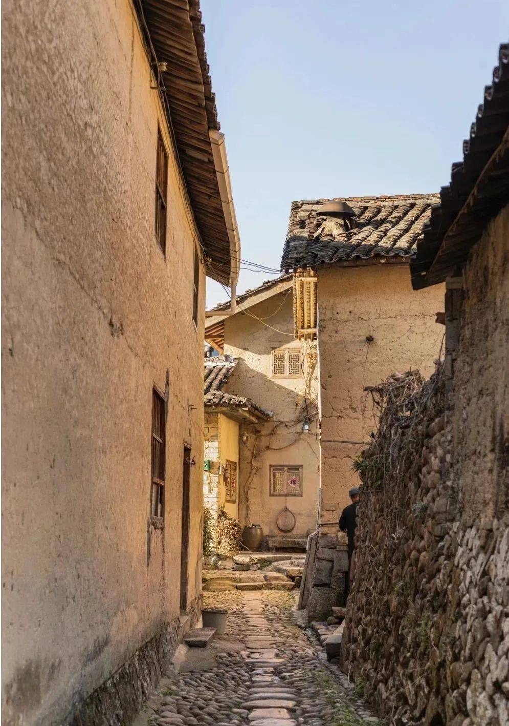 "小金豆"们,去不了"尔滨",那就去遂昌吧_丽水市_目的地_千佛山