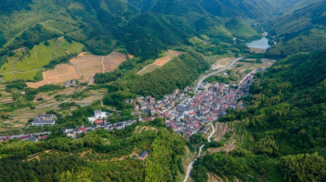 桐庐这3个村的颜"植",得到省级认定!