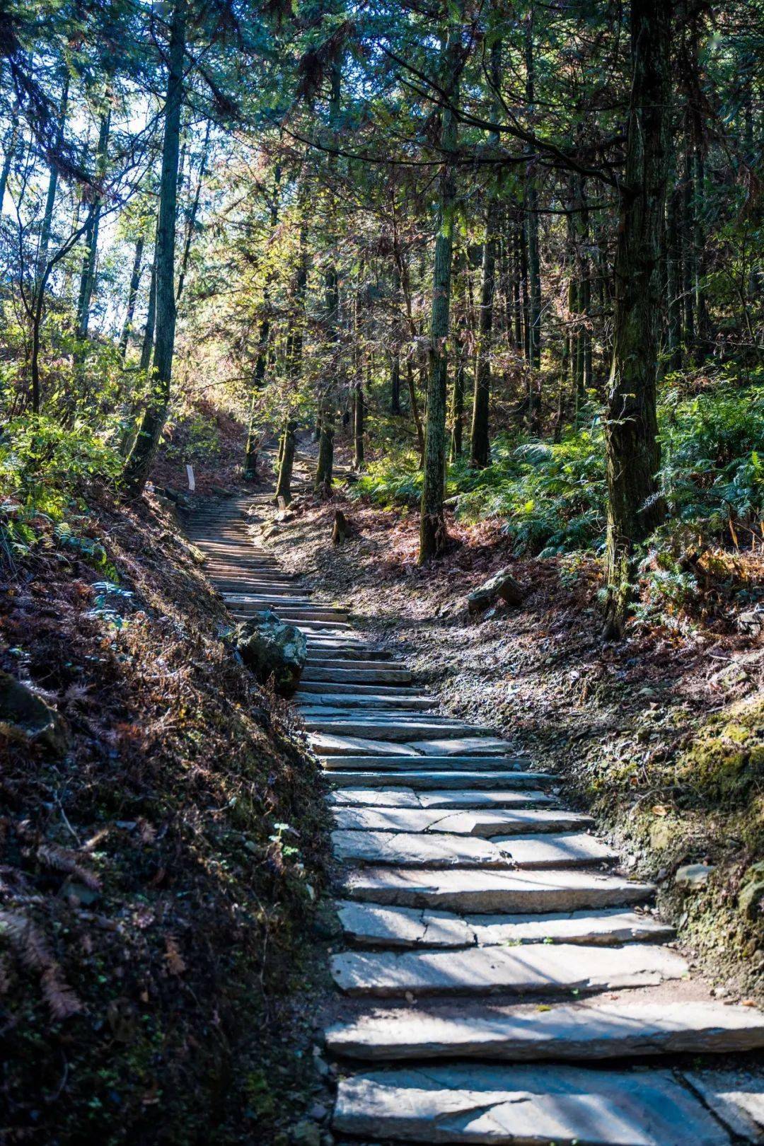 硒养石台寻冬趣 | 新春送福利,免费畅游石台仙寓山!