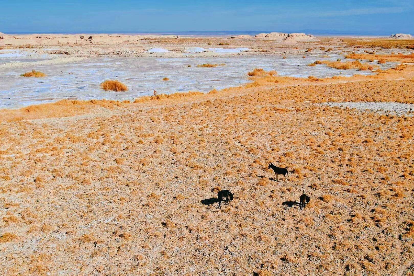 旅游排行程_港澳五日游攻略自助游攻略,港澳5天旅游攻略自由行路线(2)