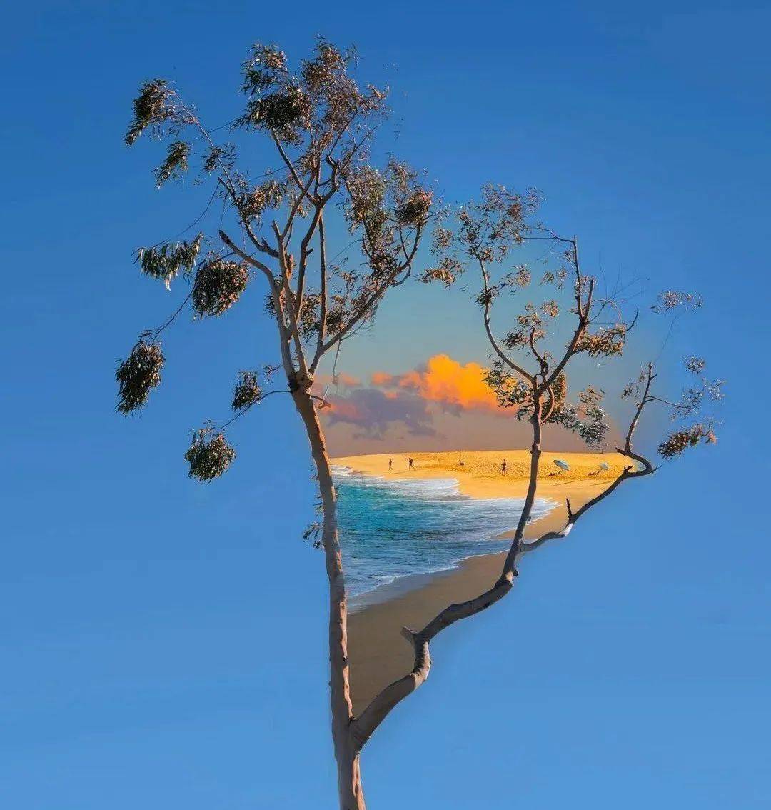 头像背景 丨如愿以偿 如期而至_侵权_先生_网络