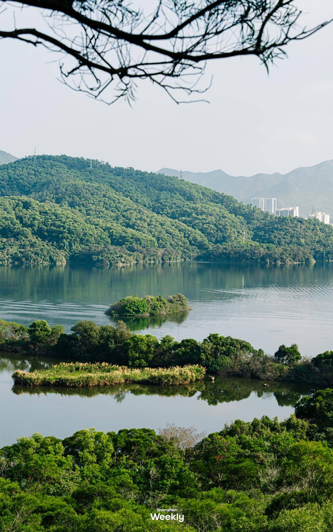 深圳最美「湖景公园」,这10个,别错过_地址_拱桥_湖水