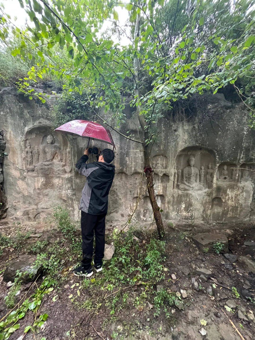 南山供秀