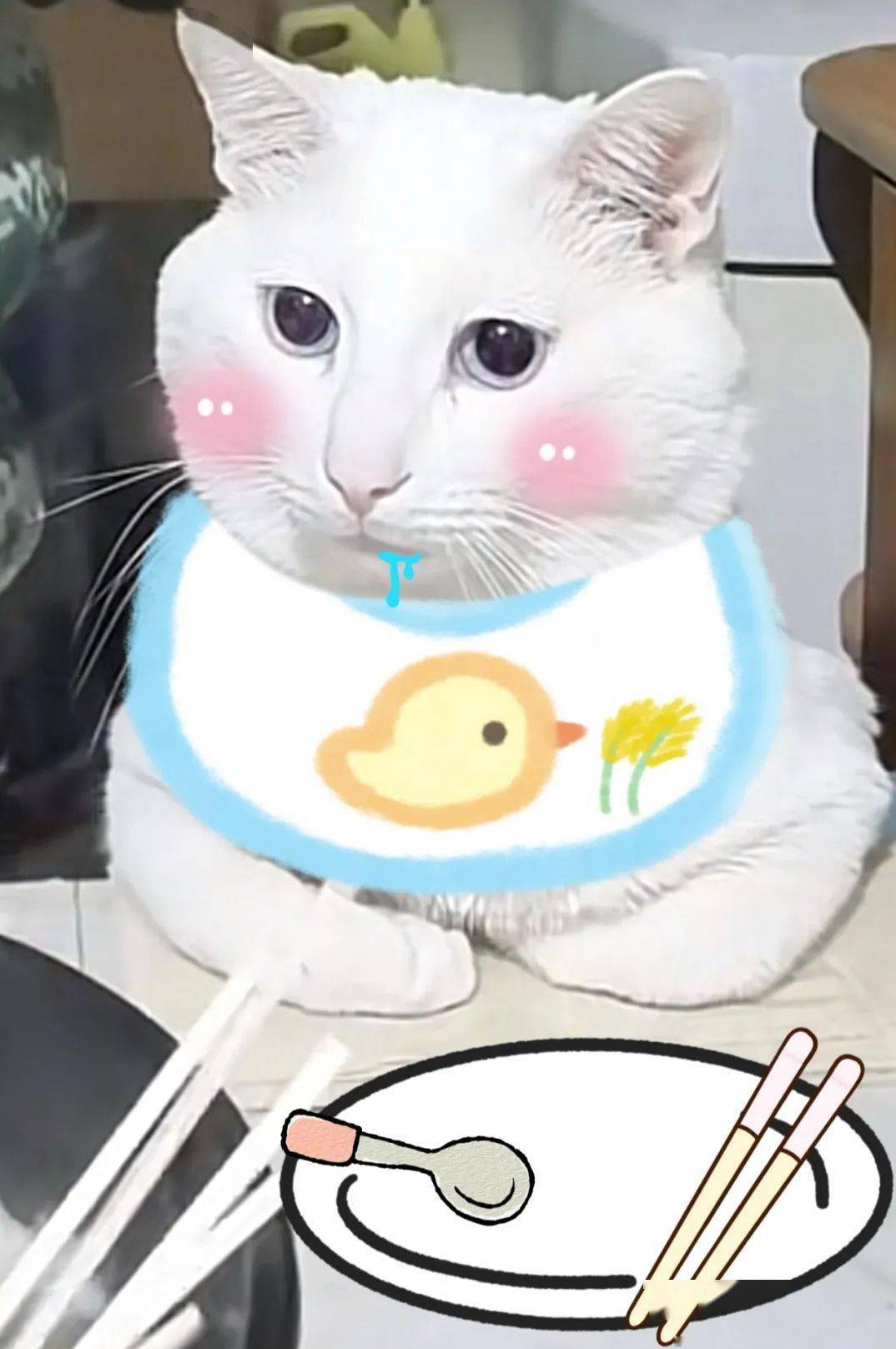 巨型缅因猫把狗子吓到发抖,场面笑死人,狗:咱家怎么还养狮子啊?