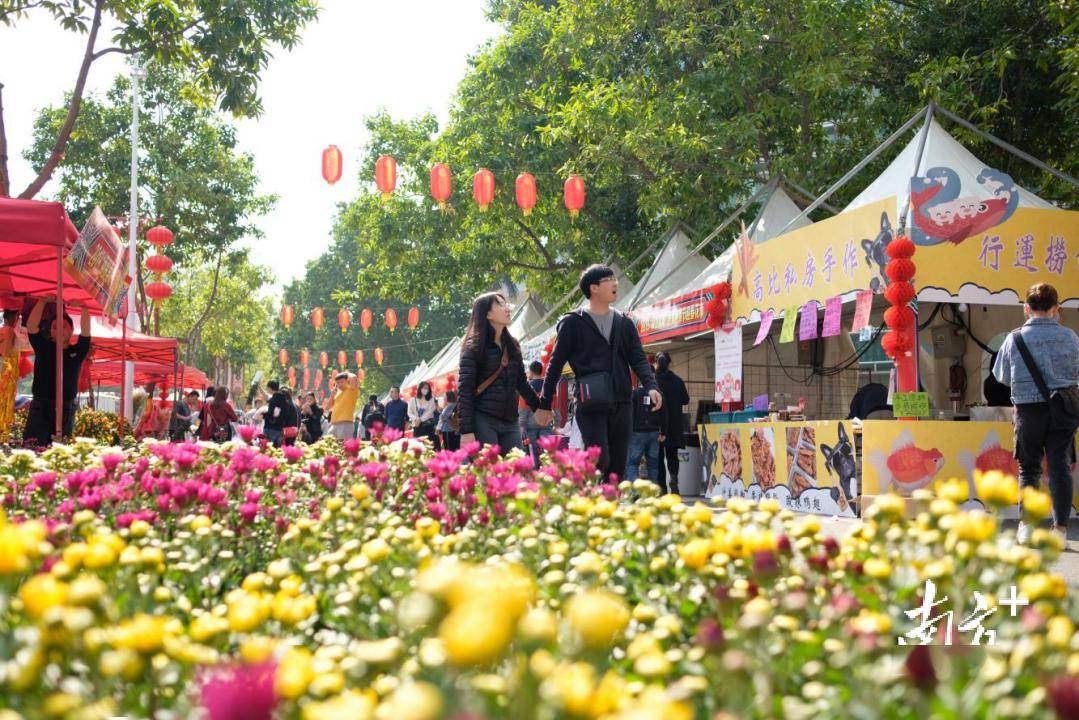 视频｜什么？你春节要去东莞旅游？有什么好玩的啊……