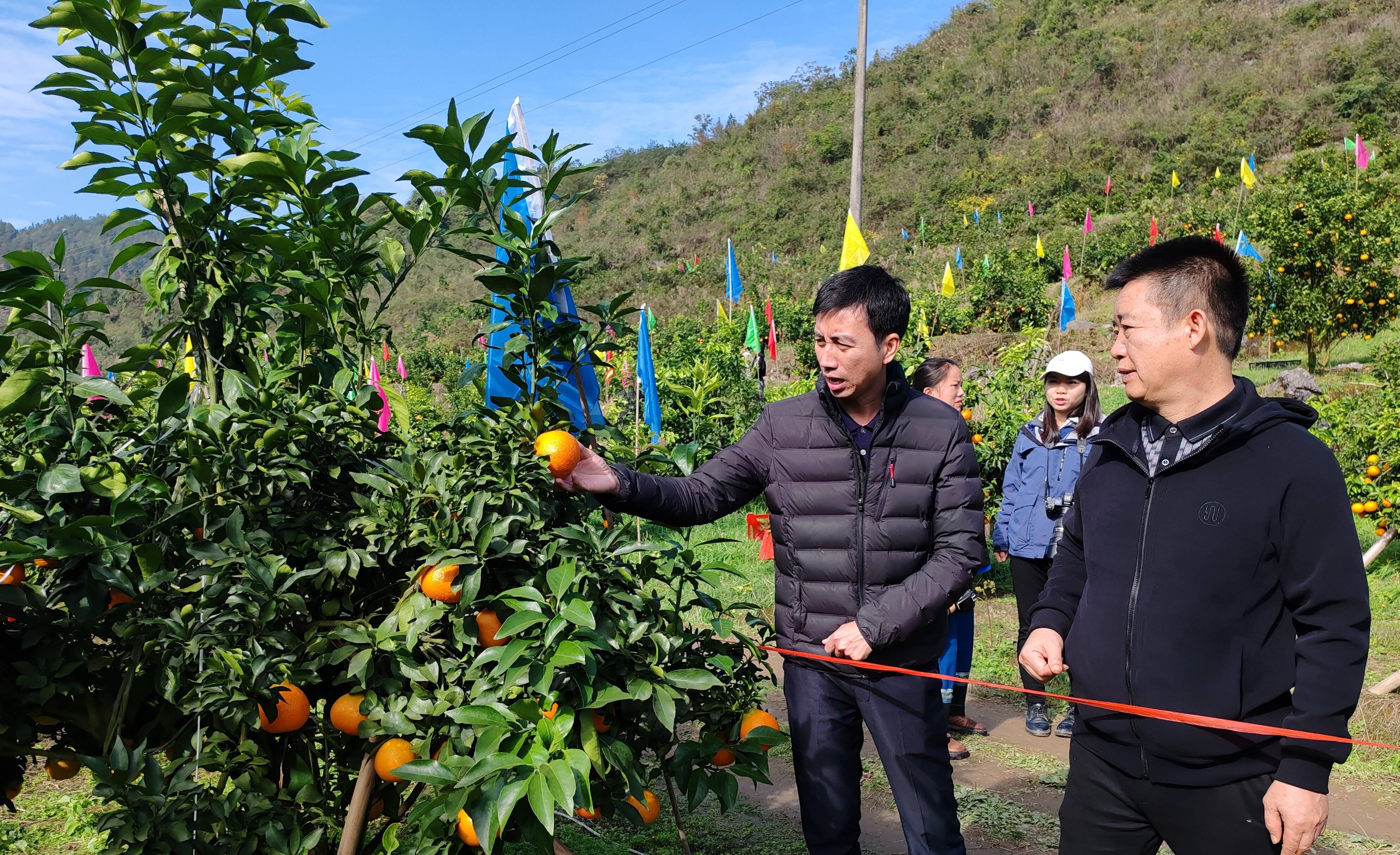 【莞铜协作】千里挑重担 苗岭践初心 |记松桃苗族自治县委常委,副县长