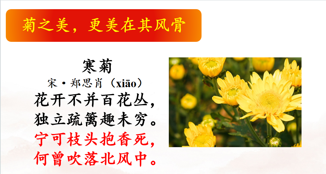 筑诗意课堂——沁阳市李商隐小学诗行课堂观摩研讨_元稹_菊花_活动