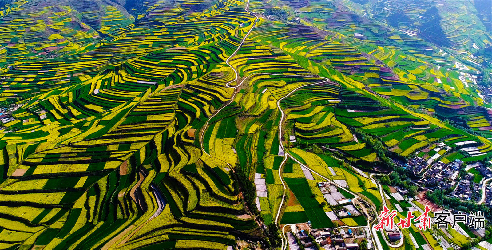 文旅产业让武山焕发新活力_旅游_建设_景区