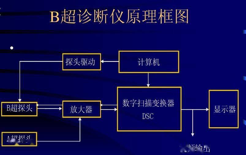 如何看懂b超图图片