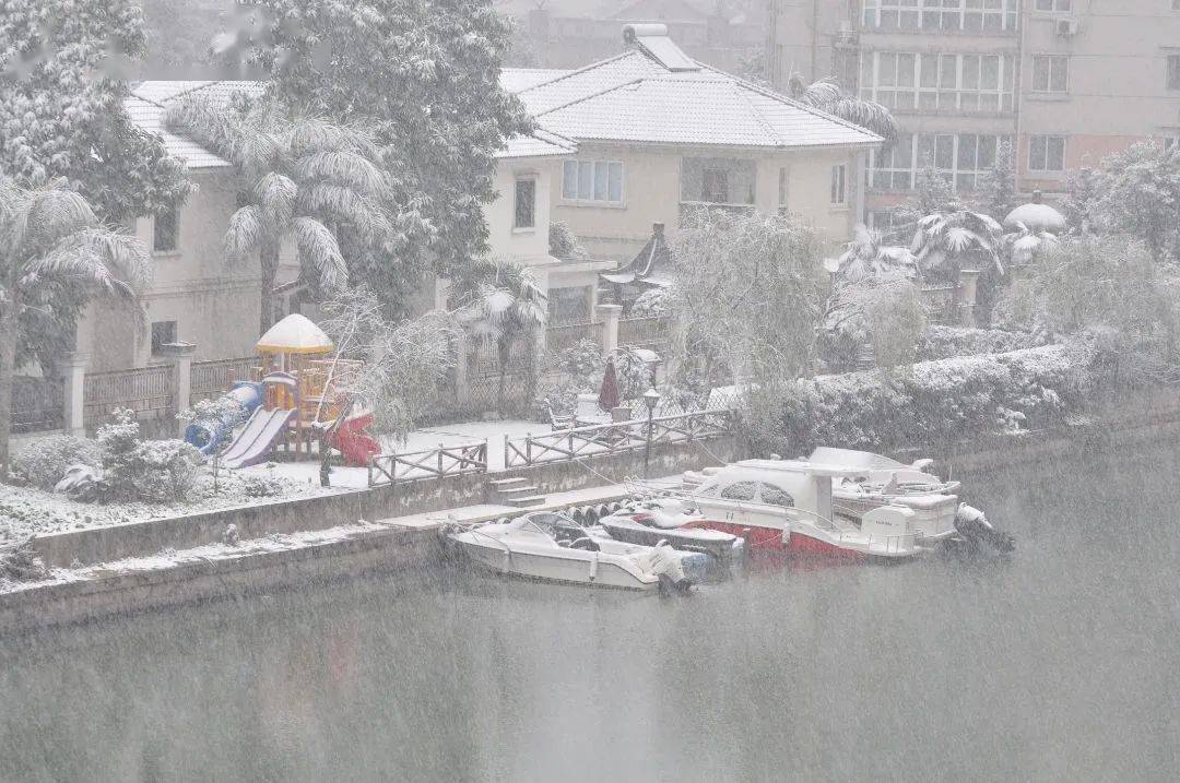 小雨转大雪图片