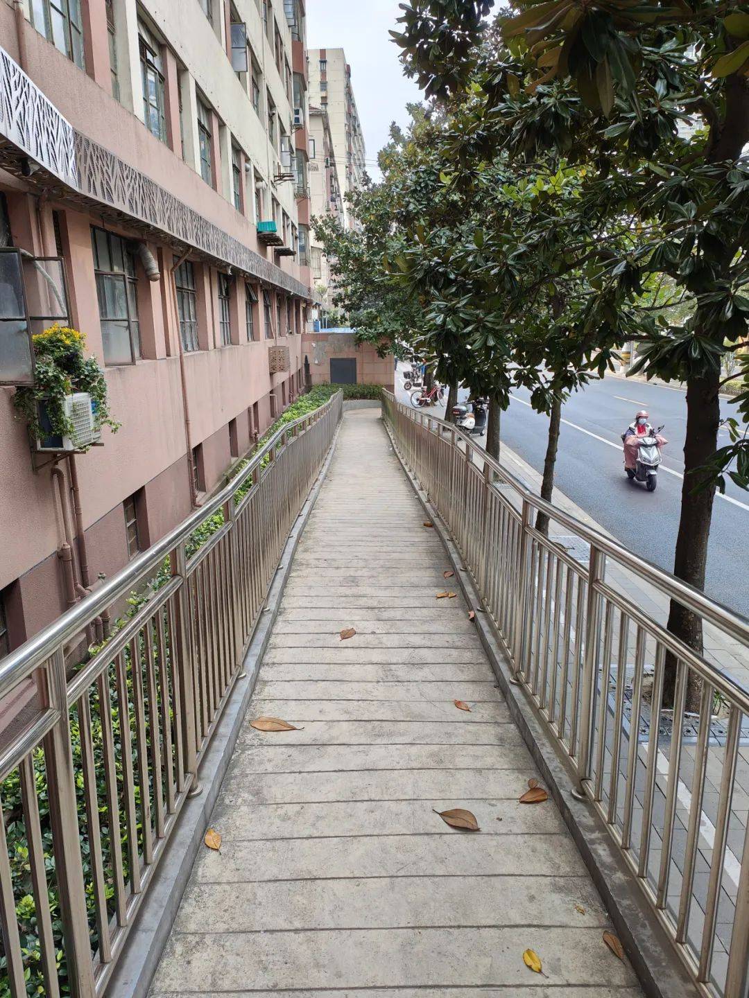 八格台阶变坡道,杨浦这个居民区这样解决民生关键小事