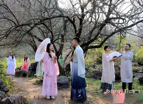 桂林平樂縣鄉村生態遊再掀熱潮_富足坪_遊客_梅花