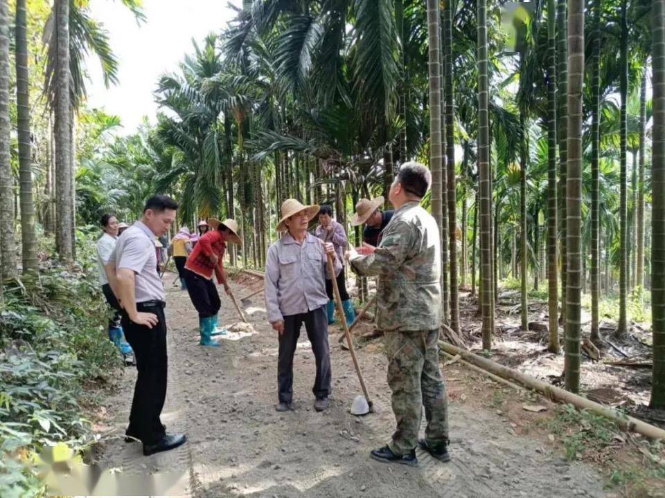 瓊中黎母山鎮:鄉村振興路上,為民辦實事永不停歇_華村