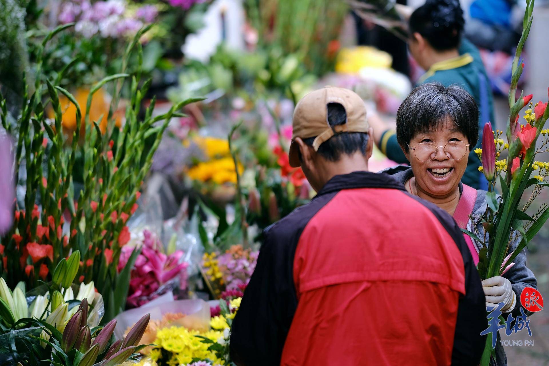 秋明拍花|漫步小巷,遇见"花姐"_广州_街坊_斤半