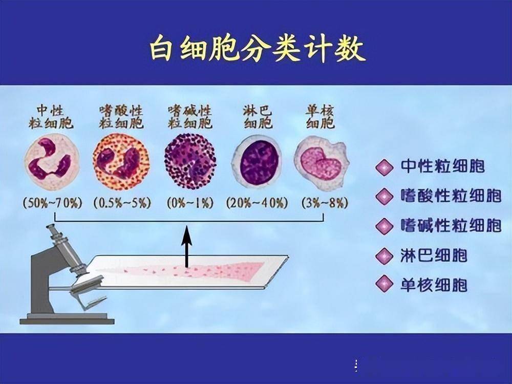 血常規儀器能完全替代顯微鏡嗎?_分類_白細胞_檢測