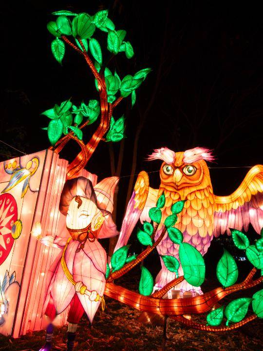 据悉,本次嘉年华活动以"印象南塘,山海奇幻"为主题.