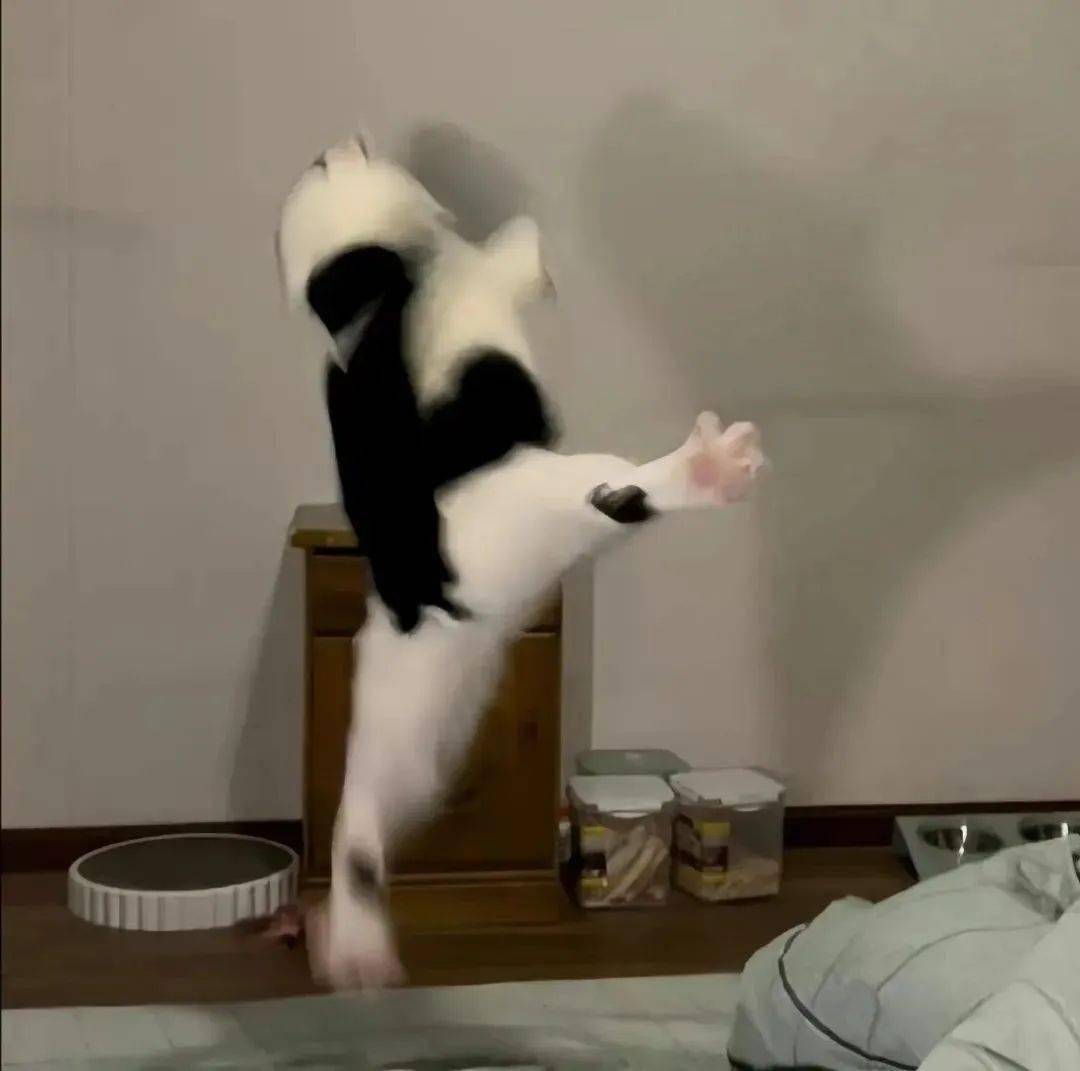 头像 | 小众又有趣的微信头像