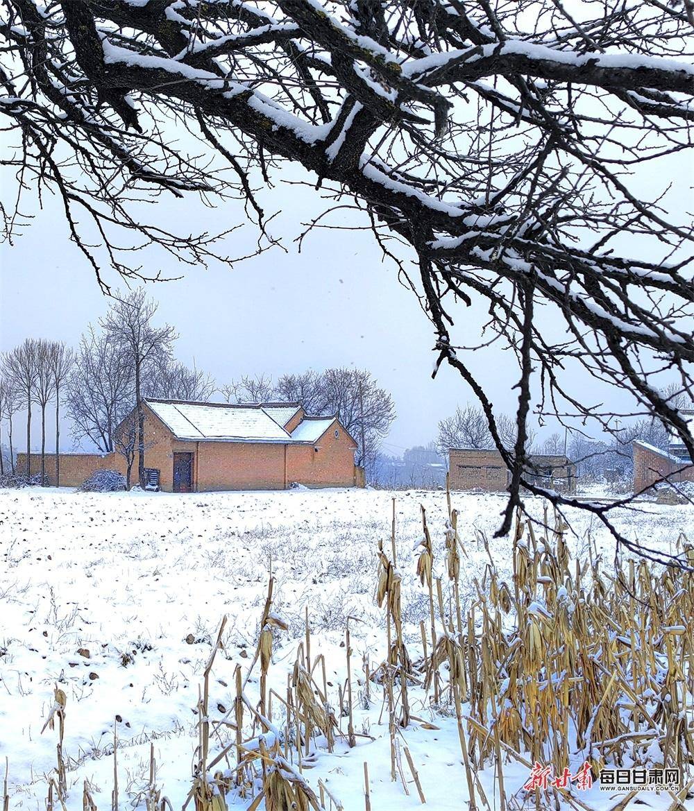 镜观陇原 雪浴山村披银装 素色美景在宁县