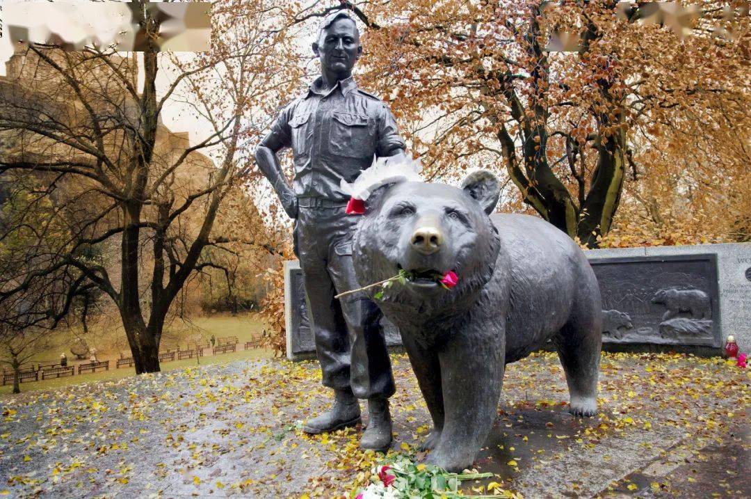 退休的沃铁并不孤单,记者和老兵经常带着烟酒来看它