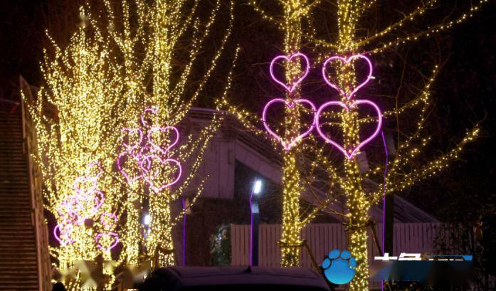 截至1月17日,全市已完成如中原区华山路,伊河路,互助路,锦艺城,棉纺一