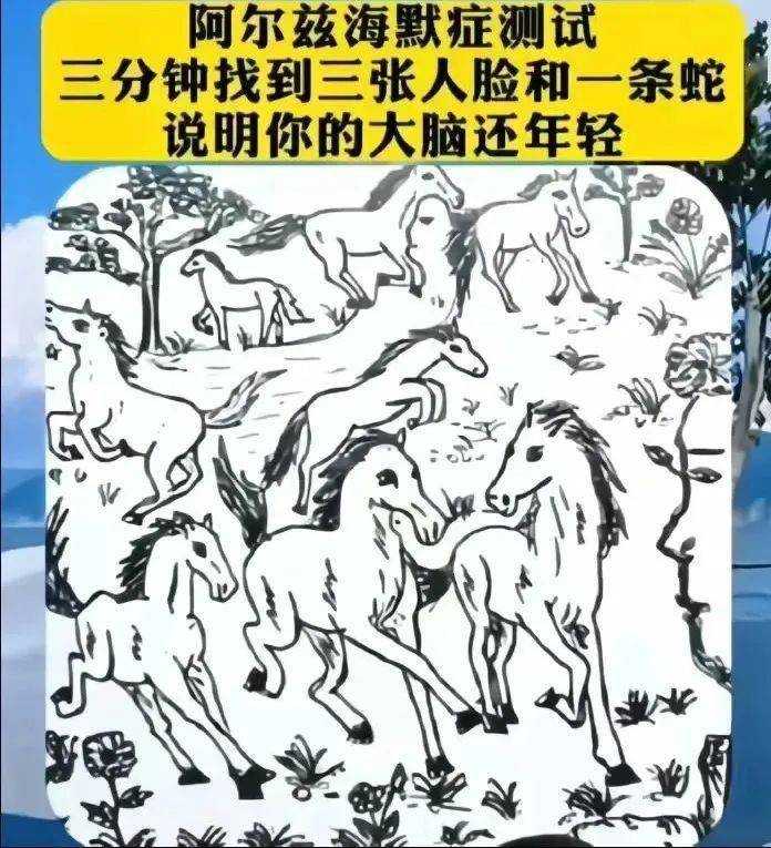 三分钟找到三张人脸和ー条蛇 说明你的大脑还年轻!