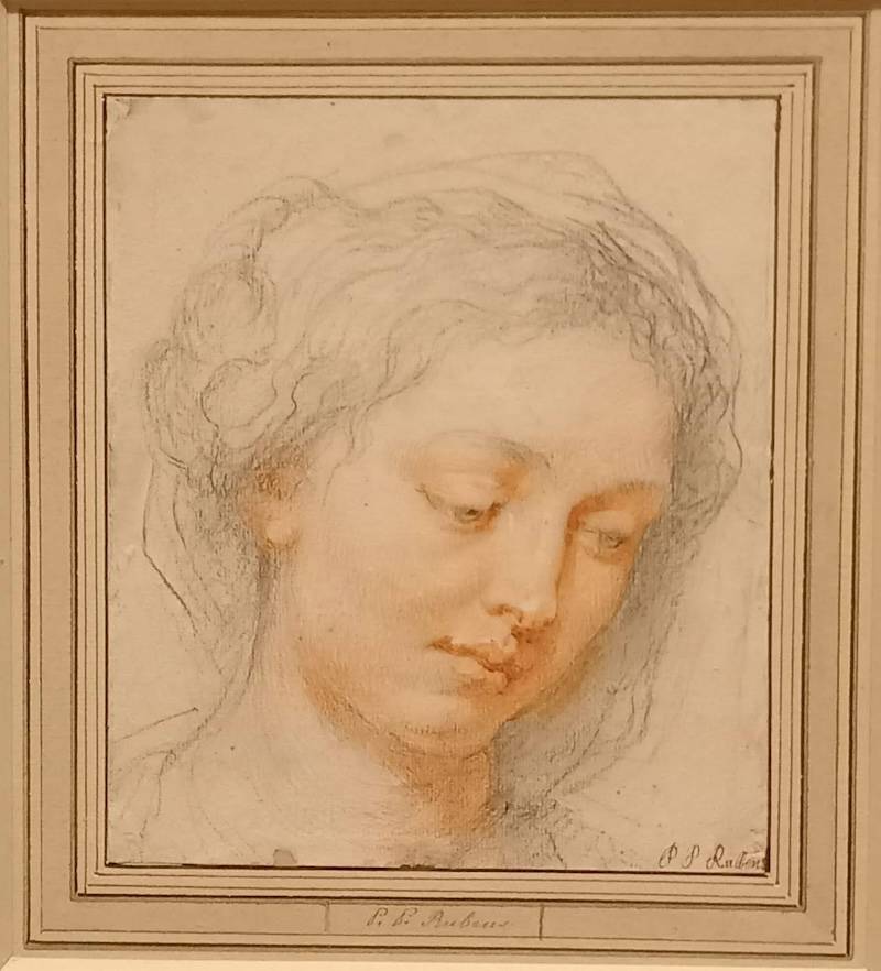 再读鲁本斯的共鸣之情:从罗马雕塑到肉感肌肤