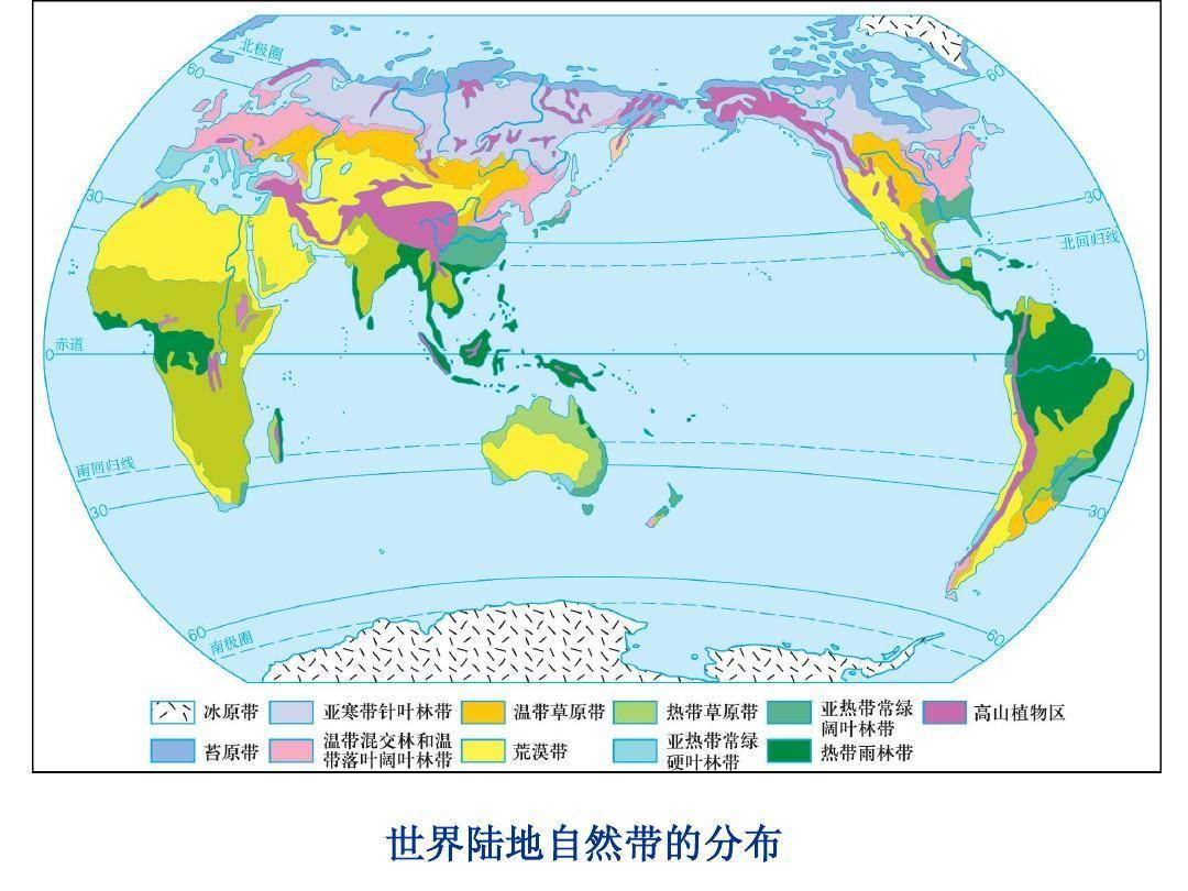 【地理概念】革质叶片&蜡质叶片,热岛效应vs青藏高原热岛效应,不同
