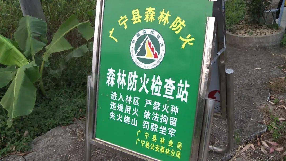 兴宁林权证办理