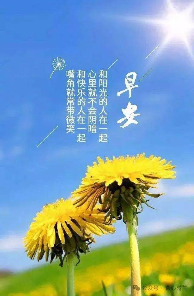 最幸福的事壁纸图片