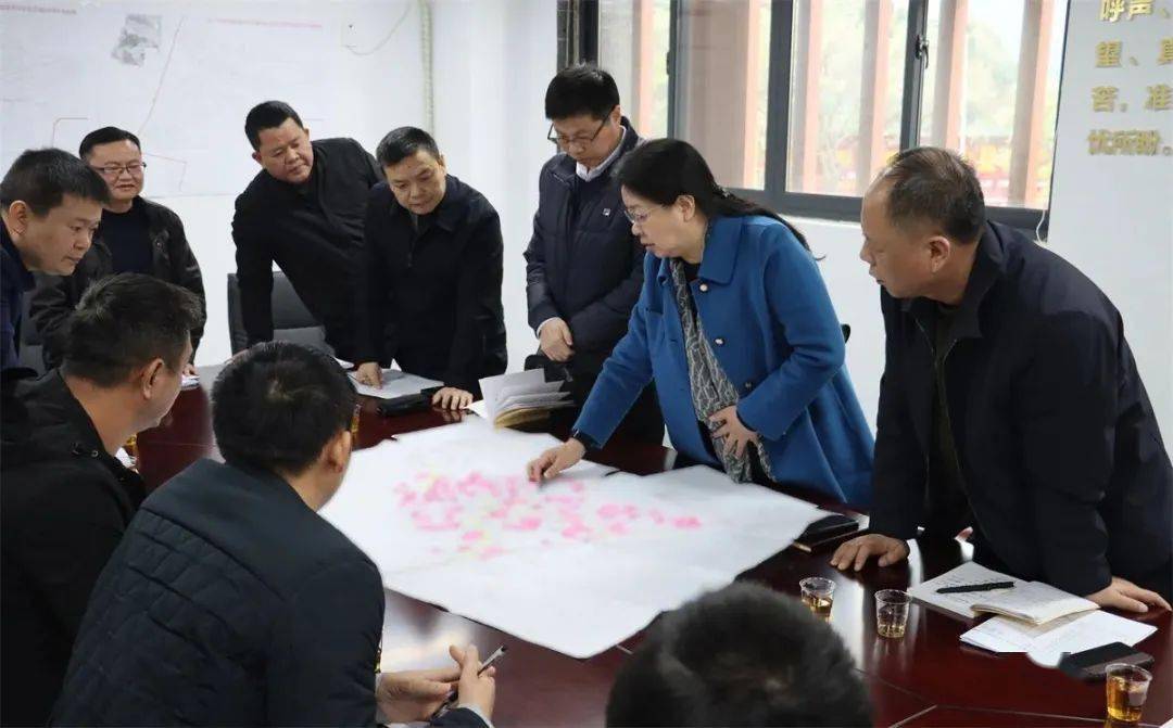 洛江区委书记颜丽明调研督导片区征迁工作情况_群众_新阳_问题