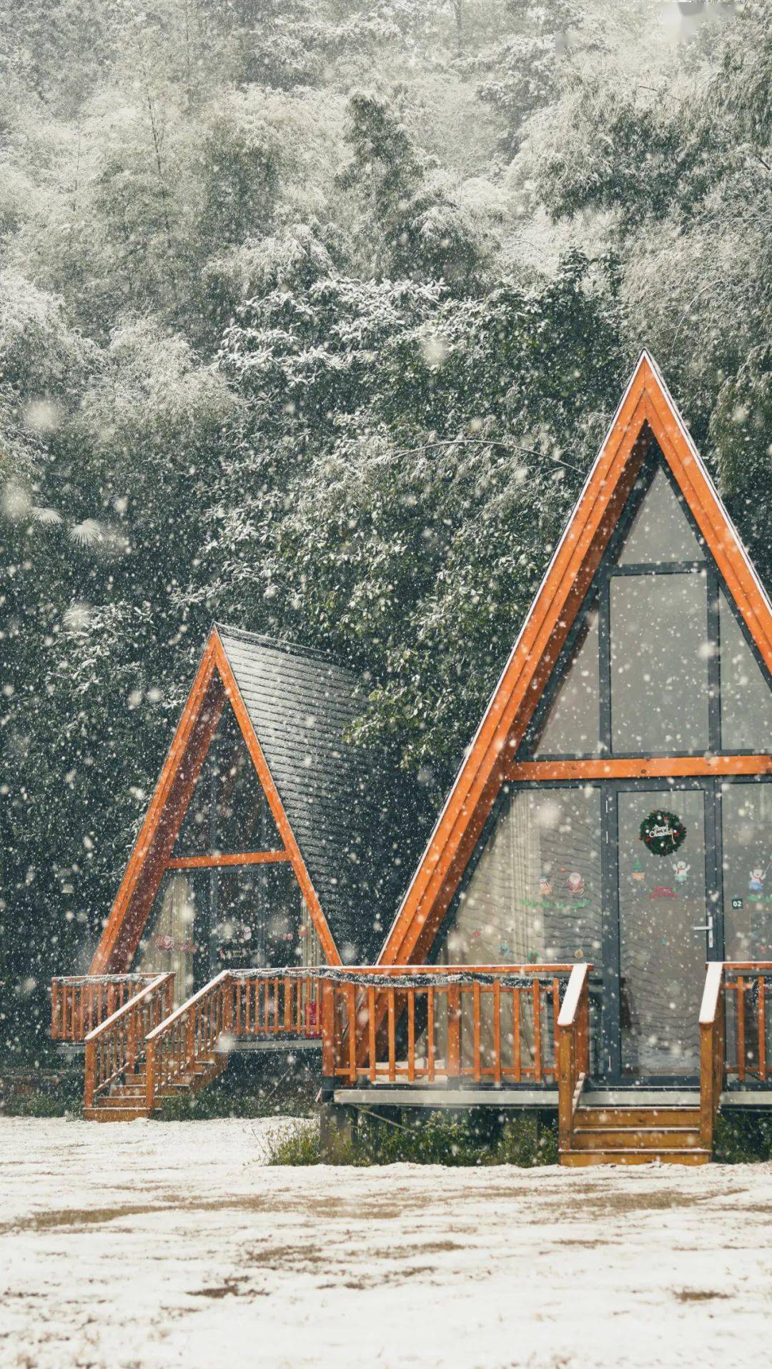 大雪如约而至,新余人的朋友圈都是雪景照→_应急_图片_气象