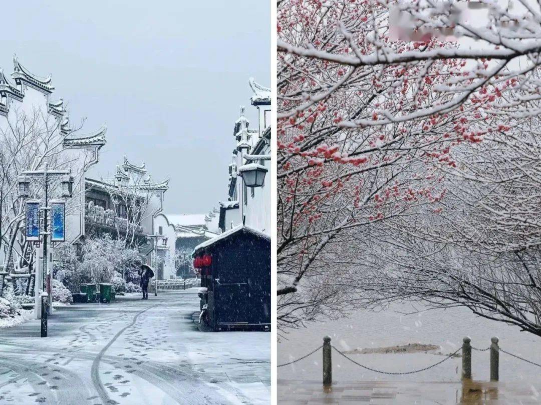 原來不止溫嶺在下雪!全浙江都在沒爆朋友圈!_旅遊