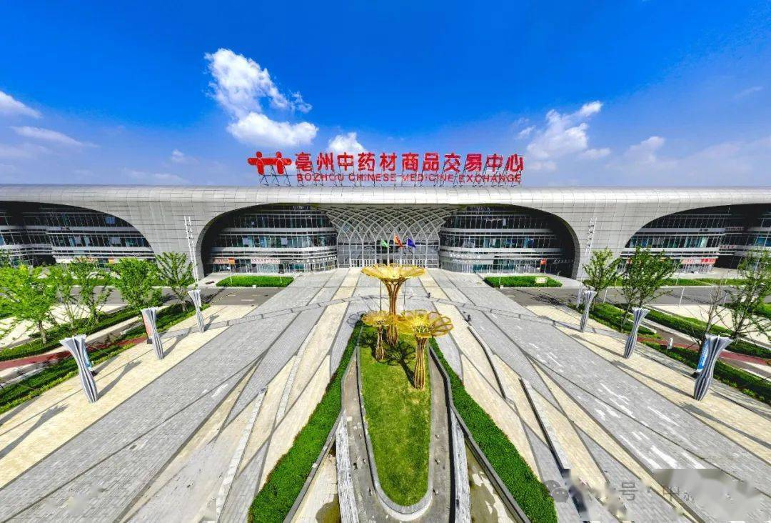 亳州市_中医药_中药材