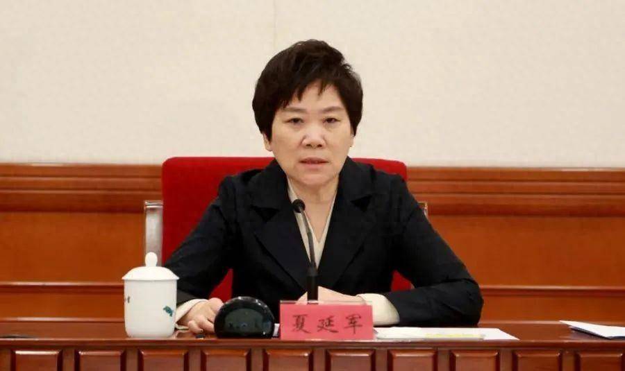 两省省委常委,有新职务_夏延军_林宝金_河北