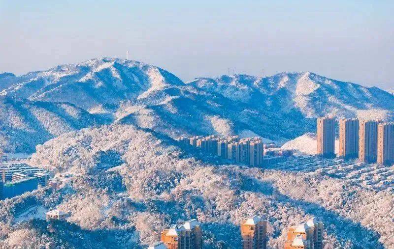 橘子洲雪景图片