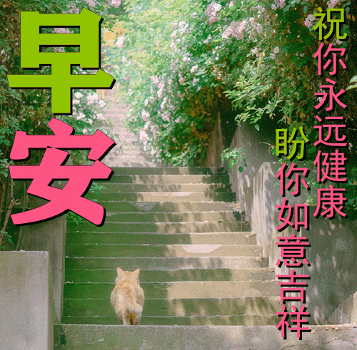 福到了,对你的关怀送到了:冬来天寒地冻,愿你添衣保暖从此幸福了早安