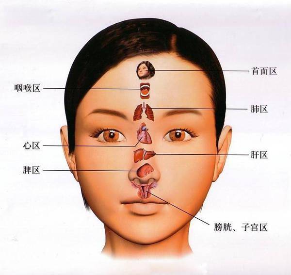 脸上斑反映内脏图片图片