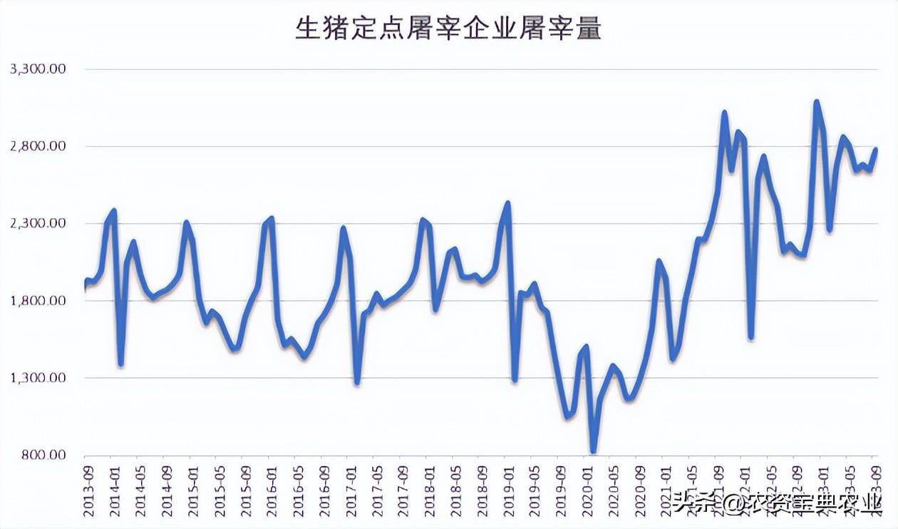 2024年玉米市場分析及成本收益研報_價格_階段_反彈