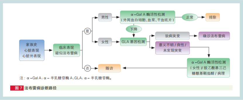 中國左室肥厚診治路徑發佈