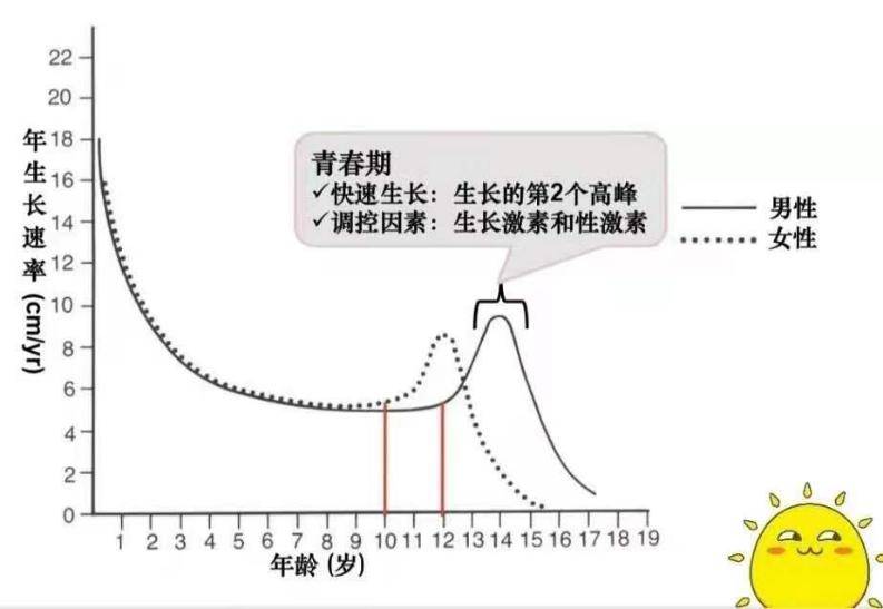 运动前后生长激素对照图片