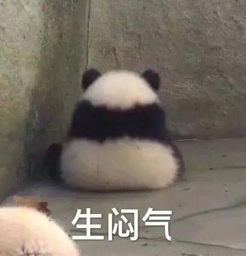 熊猫生闷气表情包图片