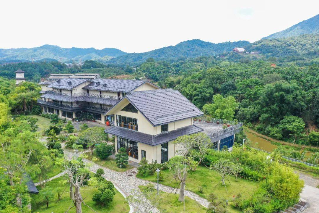 五指山茗兰舍茶庄获评全国乙级旅游民宿_客房_海南_风景