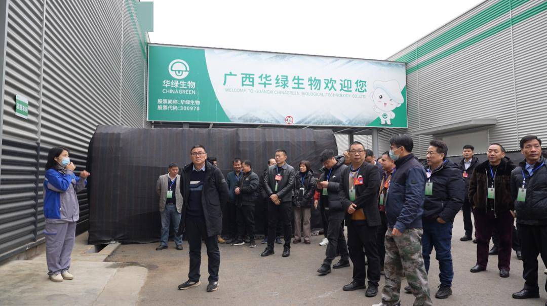 新和发呆坡民宿,崇左理文纸浆制品有限公司,广西科创自动化设备有限