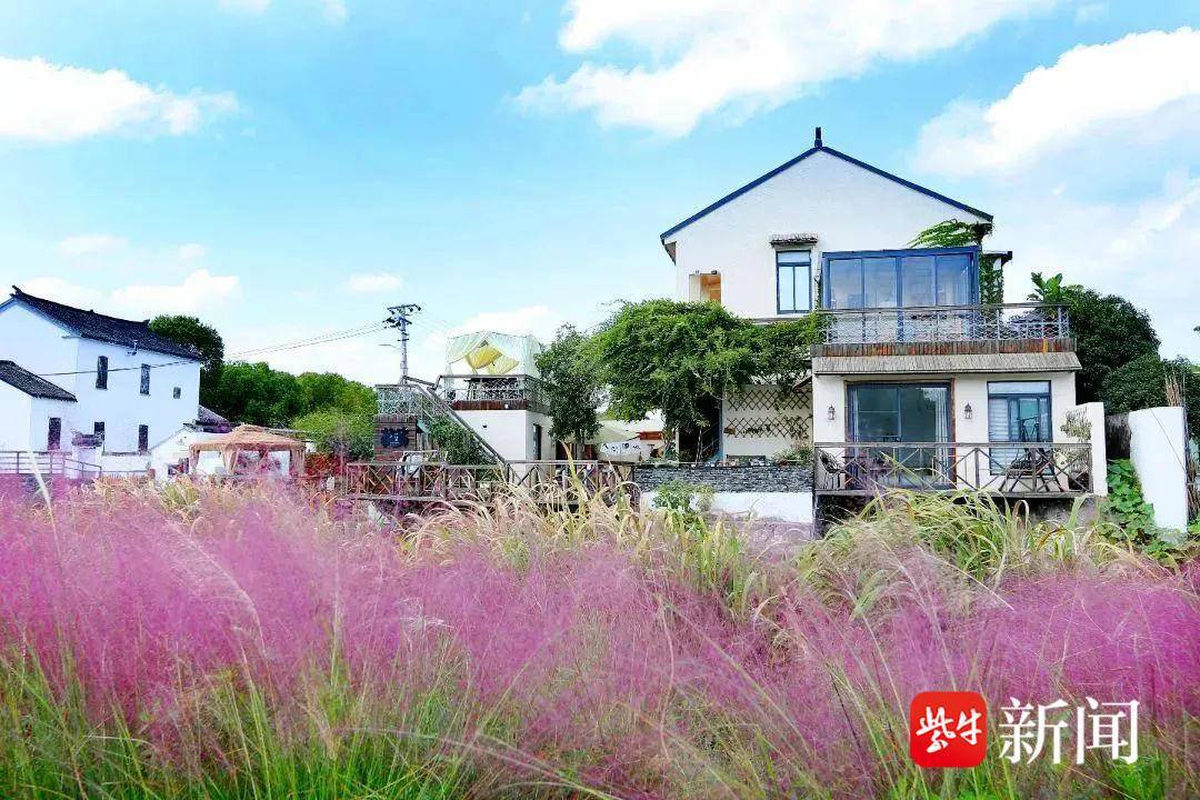 苏州相城度假区(阳澄湖镇)美丽庭院上新_文明_清香_农村