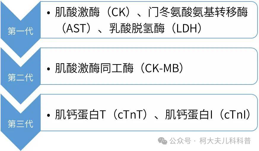 心肌酶报告单图片图片